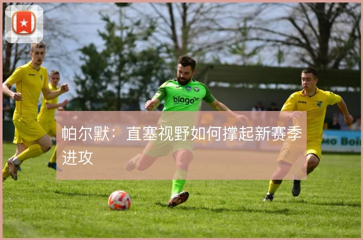 帕尔默:直塞视野如何撑起新赛季进攻